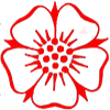 Flor